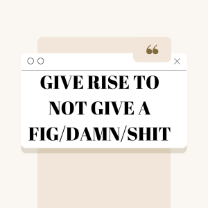 NOT GIVE A FIG/DAMN/SHIT - GIVE RISE TO کالوکیشن